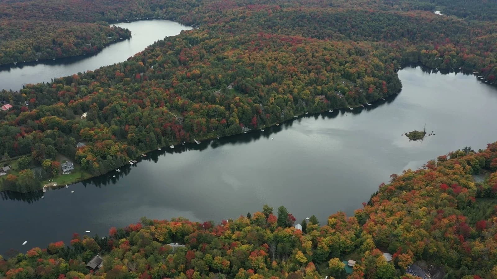 Contact Team Eric Gagnon - RE/MAX Brokers in Montreal